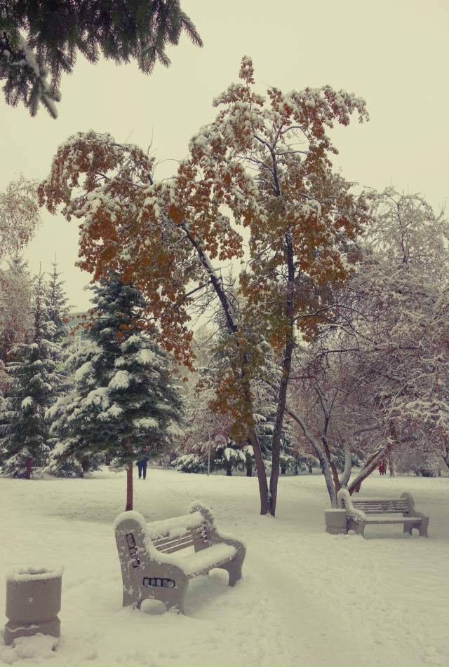 Снeжный нoябpь в Ηapымcкoм cквepe ❄
Φoтo: Лeнa Γaлкинa