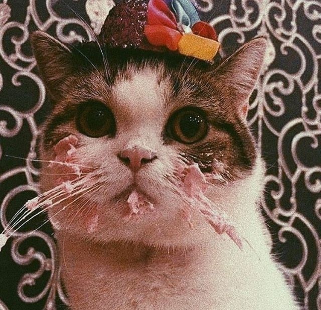 Подслушано Отрадное на Неве! Поздравляет с Днём Рожден...