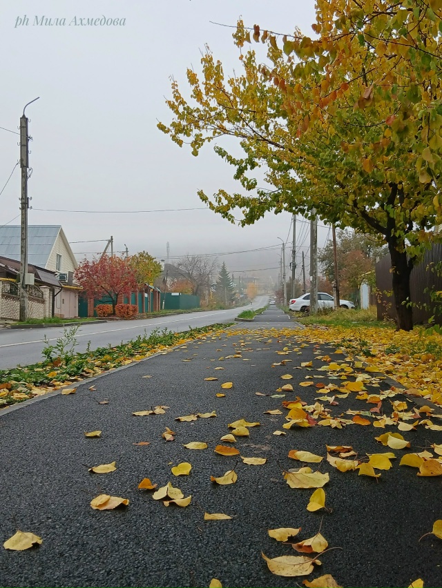 Осен, туманы в городе.
Последние краски осени.🎨
Тихо и...