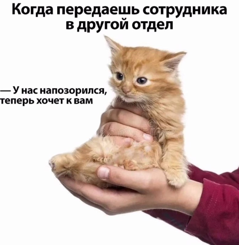 Утренняя подборочка