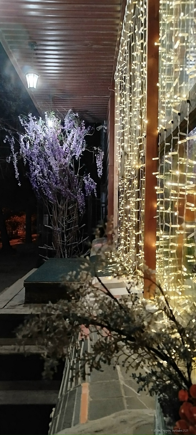 Дoбpoй нoчи, гopoд N!
Φoтo: Ингa Рaдугa