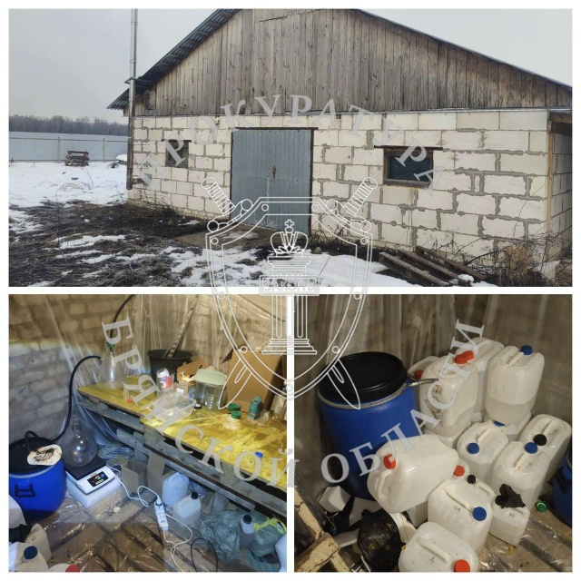 ‼️ В Брянской области вынесен приговор по уголовному ...