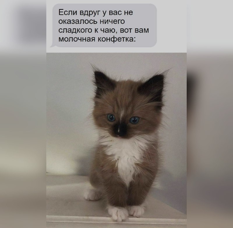 Ночная подборочка
Спать, режим