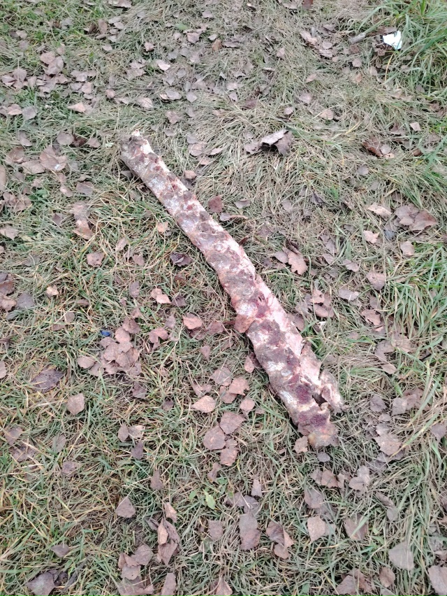 До каких пор будет это безобразие? Куда смотрит санпид?...