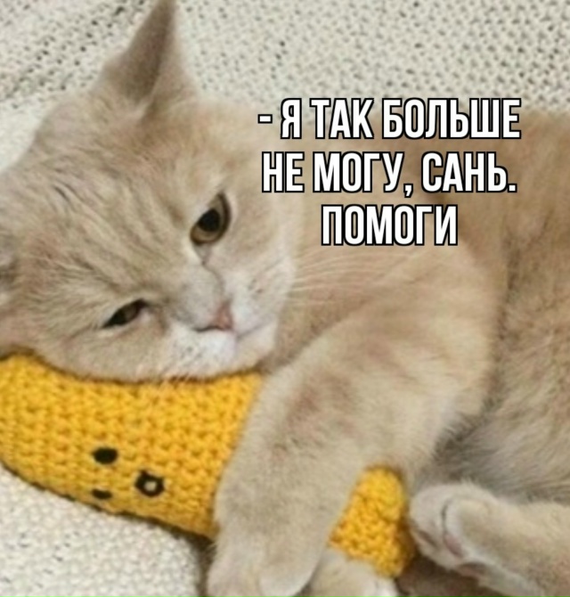 Как же я их понимаю