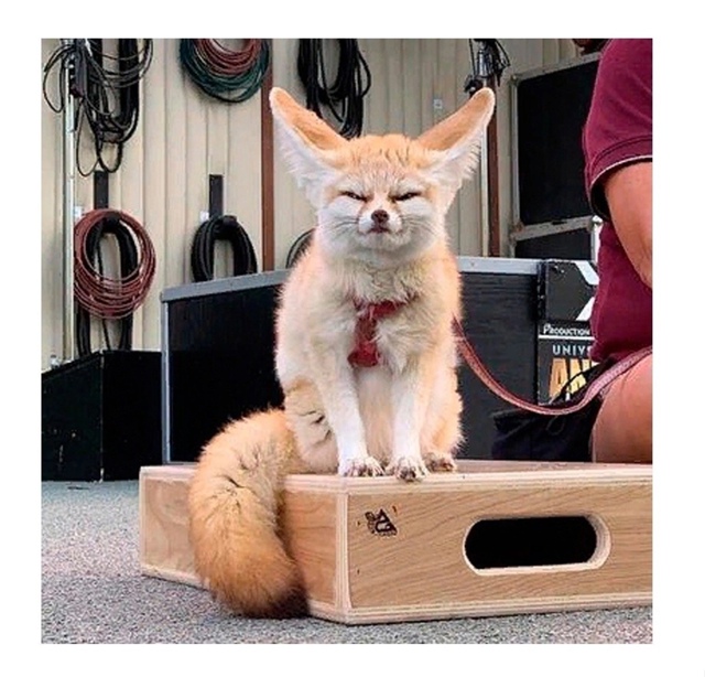 Очень важный совет.