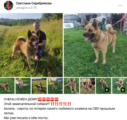 Пост добра. Распространите, пожалуйста.