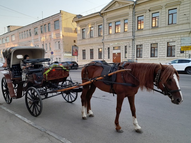В центре Самары откуда-то взялась карета с лошадью.
Фо?...