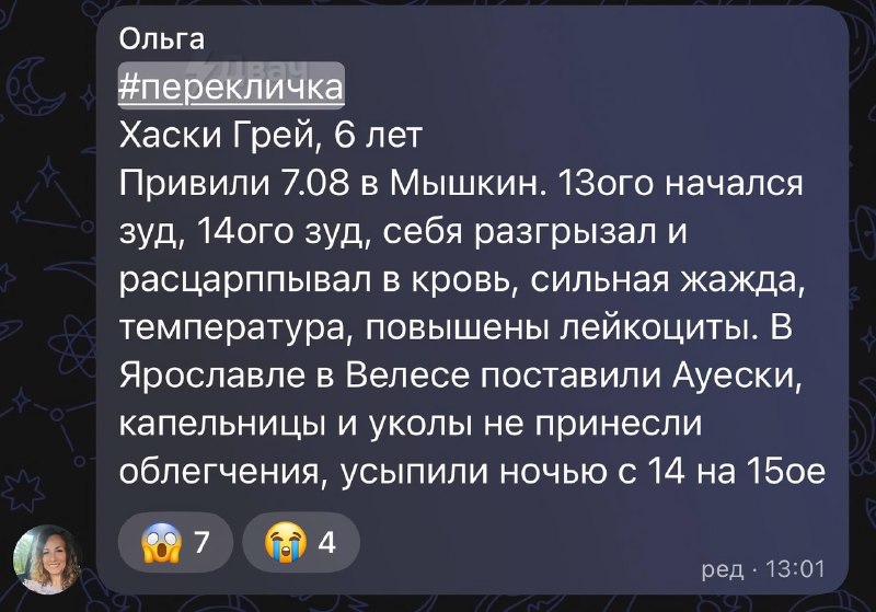 ⚡️В России начались массовые смерти собак после вакцинации от бешенства препаратом «Мультикан-8», пи