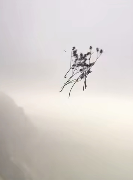 Вот это девушки пошли