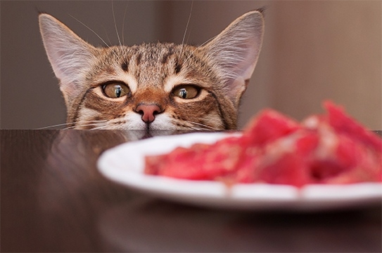 Цель поставлена, остальное - вопрос времени😂