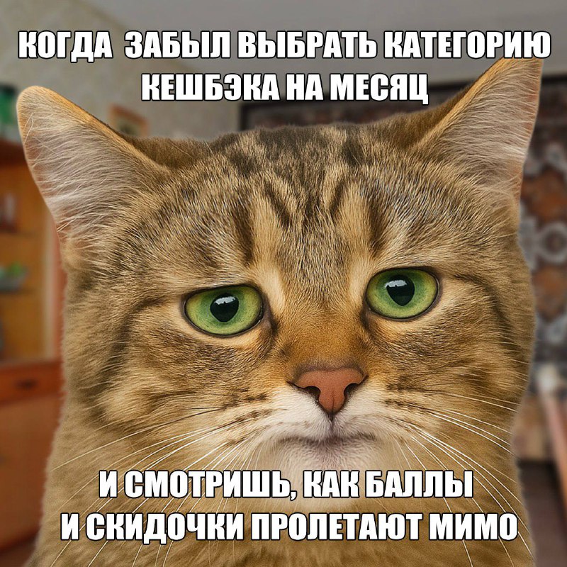 Доброе утро всем, кто не упускает выгоду и баллы Плюса!
Тем, кто забыл выбрать категории кешбэка в Я