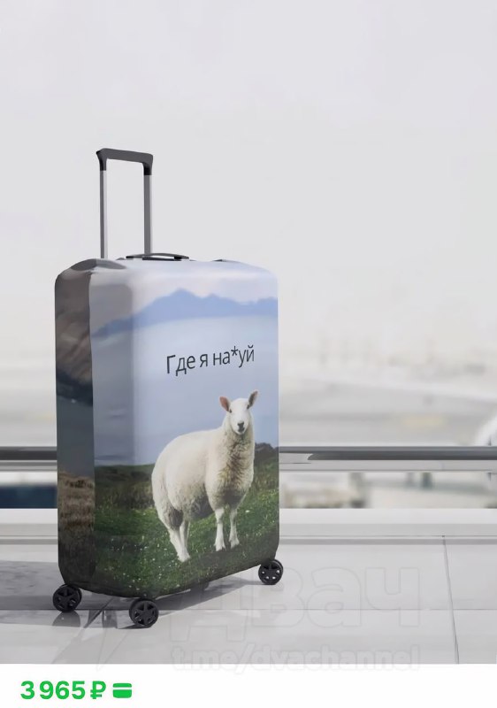 На маркетплейсы завезли чехол на чемодан для тех, кто вечно теряется
Цена — 4 тысячи рублей. Летаем