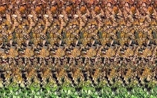 Стереограммы: тренировка для глаз ?✨
Эти загадочные ?...