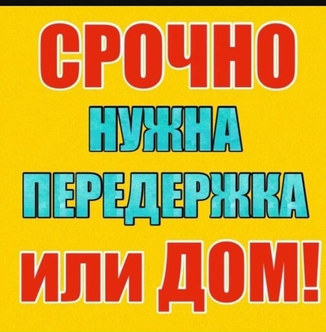 #иваново #приволжск #волгореченск
Приволжск.
Котята с ?...