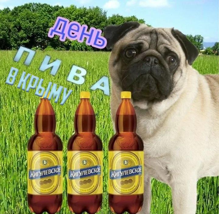В Крыму и Сочи туристы за отпуск в среднем выпивают более 30 литров алкоголя на семью: 3,5 л водки,