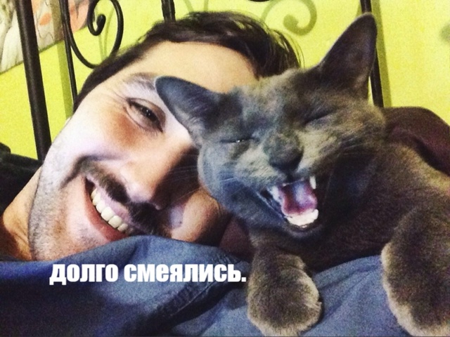 Кошки правят!