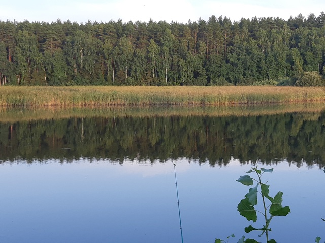 Чиста, зеркальна гладь реки... ,
что может быть прекрасн?...