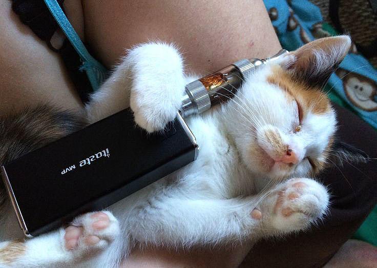 Учёные заявили, что вейпы убивают психику и повышают риск депрессии.
Исследования показали: вещест