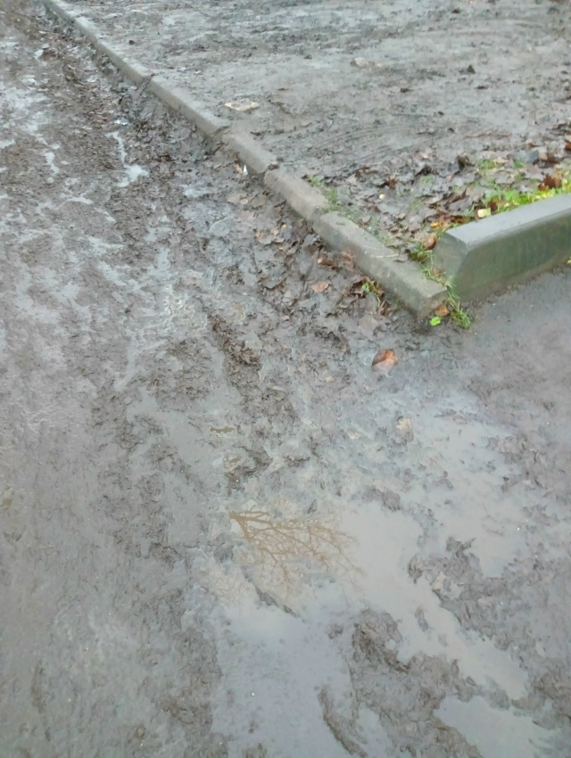 Слуги народа, ни у кого дети или внуки не посещают детс?...