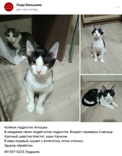 Пост добра. Распространите, пожалуйста.