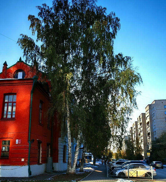 Октябpь, a лиcтья нe жeлтeют