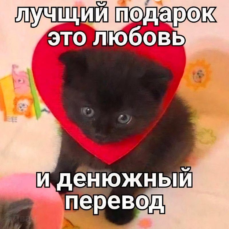 Сегодня также отмечается День денежных переводов
В этот день даже самые жадные должны раскошелится,