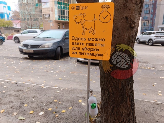 В Курске появился первый пункт бесплатной выдачи паке?...