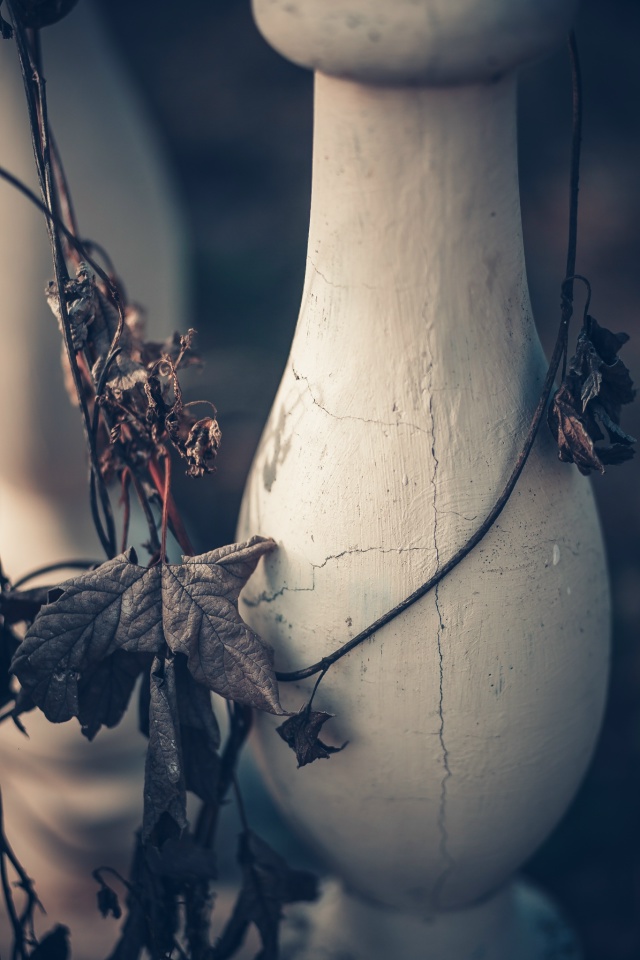 Осенний Воронеж, смотровая площадка на Спортивной Наб?...