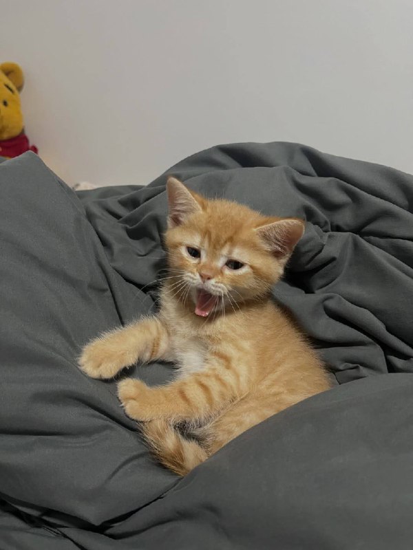 Ну идем уже споть, я же жду тибя в кроватке :3