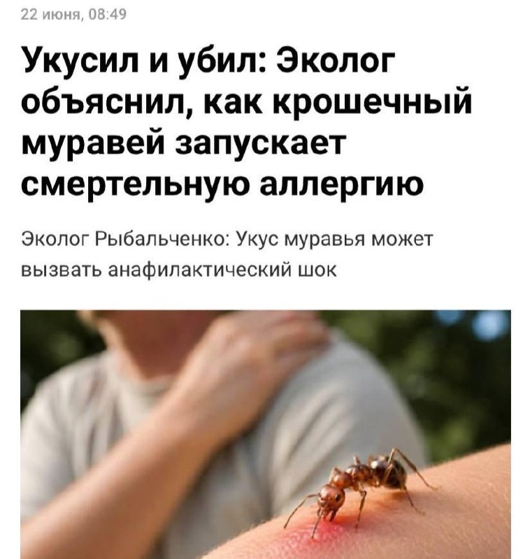 Укус даже обычного муравья может привести к смерти, предупреждают врачи.
У некоторых людей скрытая