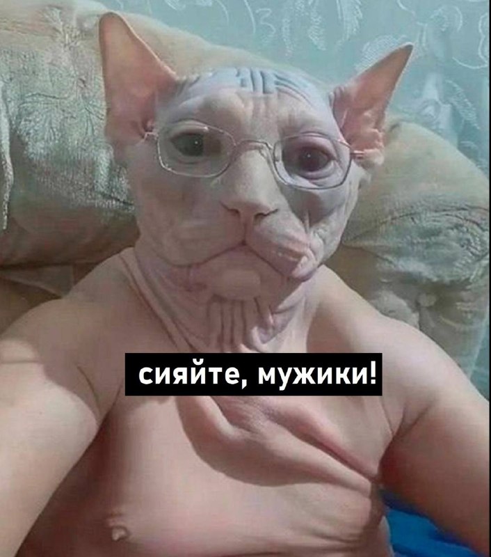 🧑‍🦲 Сегодня отмечается День лысых мужчин
Поздравь своего Вина Дизеля)