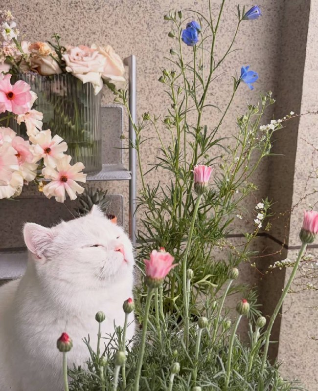 Фотосинтезируем