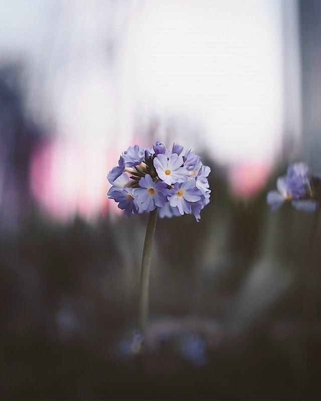 важно одно: не озлобиться от разочарований, научиться ?...