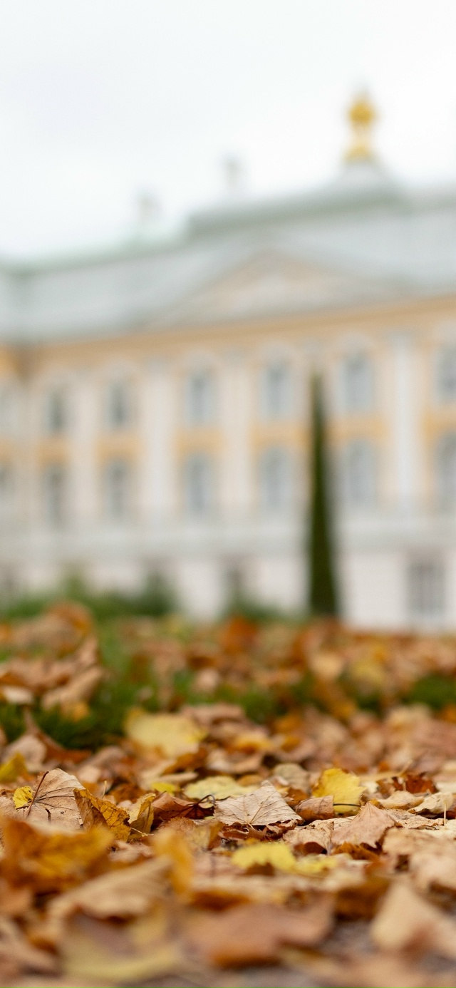 Заставки для ваших телефонов / ноябрь🍂
Источник: peterhof...