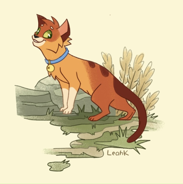 Рыжик
© leahk76
#KV_ZZ_ART