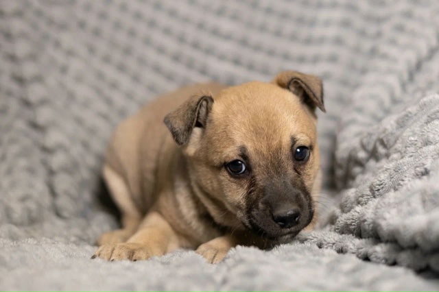 Очень милый малыш с немного грустными глазками и необы...