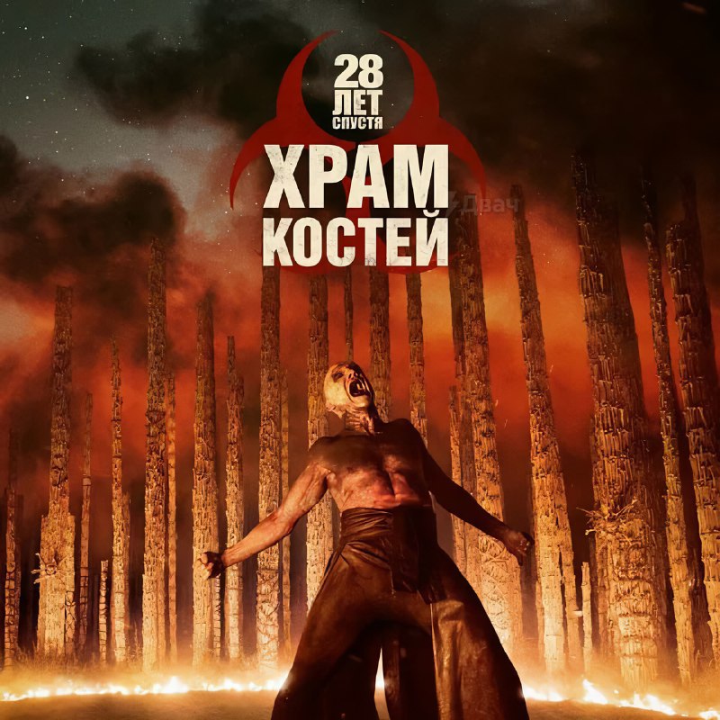 Ловите подборку годных фильмов и сериалов с высокими оценками зрителей и критиков
Все эти картины у