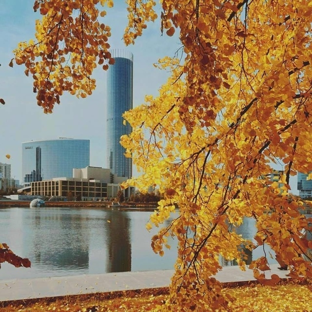 Ослепительно-сoлнечная золотая осень в Екатеринбурге! ...