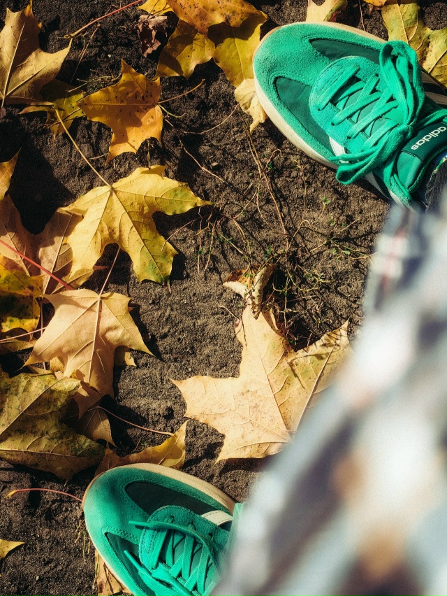 Продолжаем наблюдать нашу Воскресенское золотую осен?...