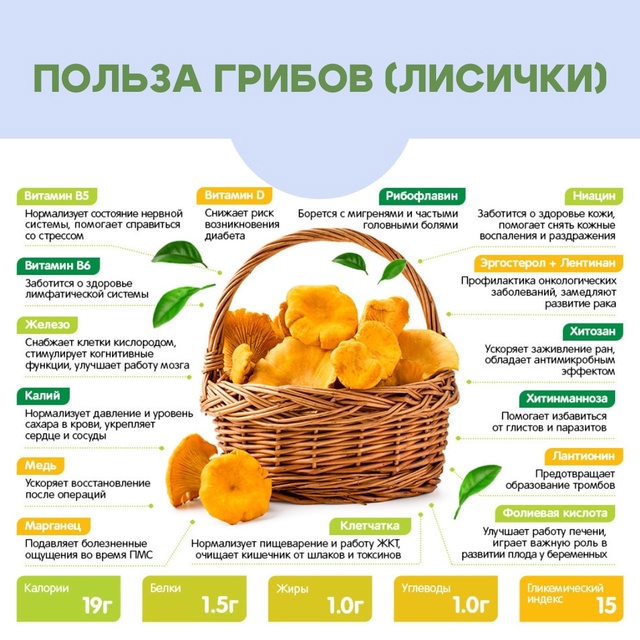 #Польза Свежие российские лисички в этом году ждём в пе...