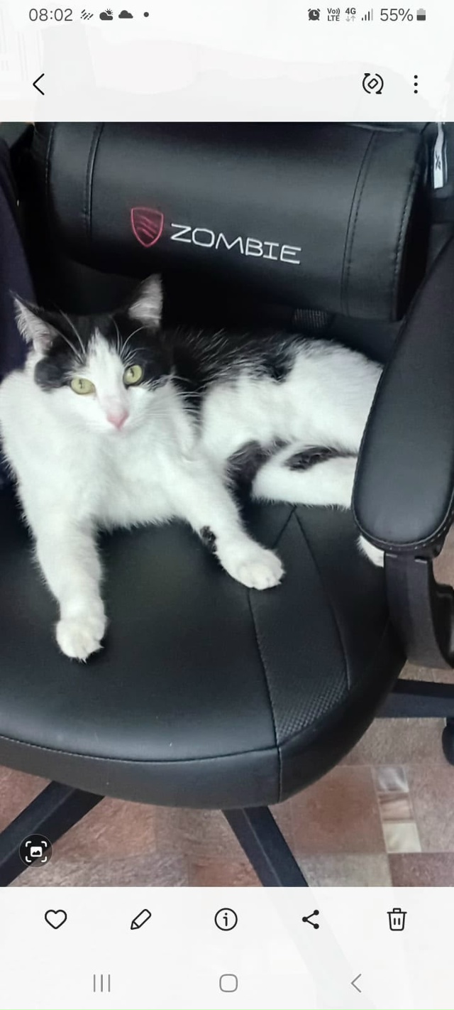 Всем здравствуйте!
Не теряем надежды найти нашего люб?...