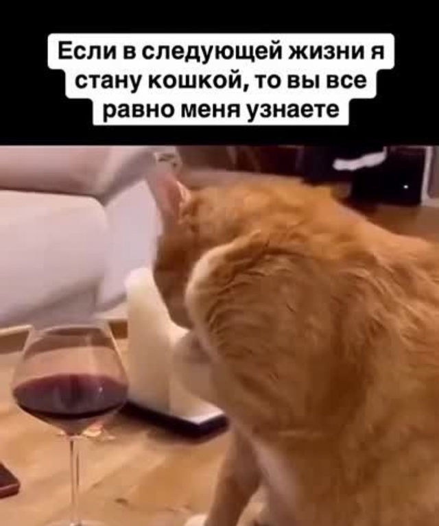 Этот знак ясно показывает, что вы точная копия.