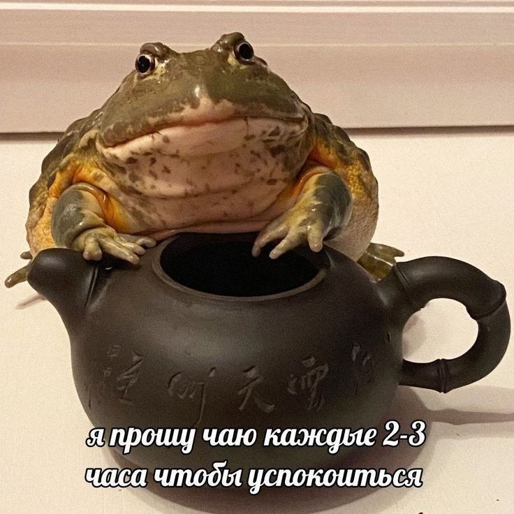 Утренняя подборочка