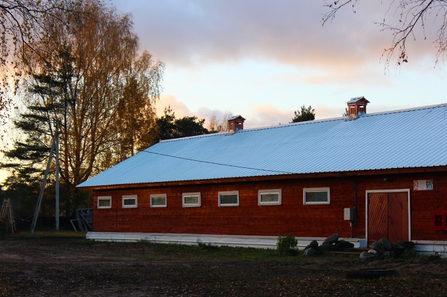 Хорошевский коневодческий комплекс 🍂🍂
Правда краси...