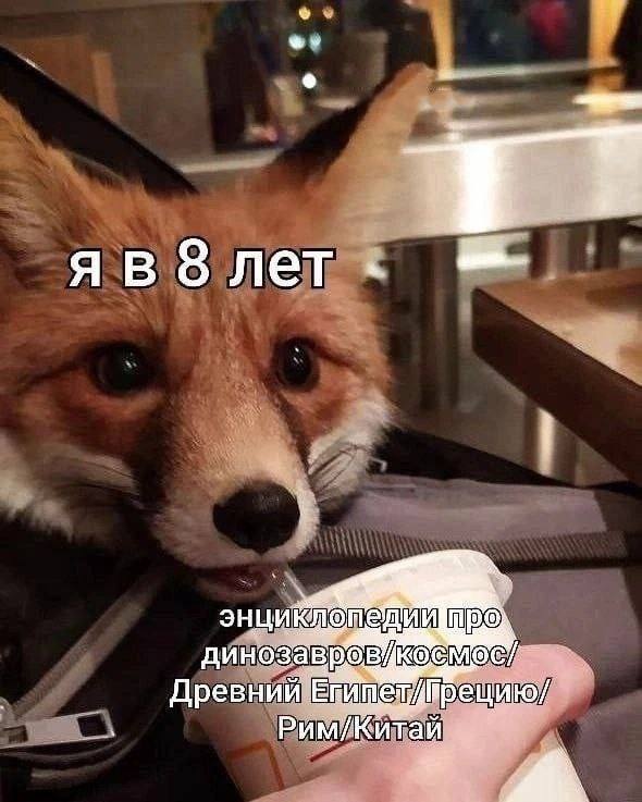 хоть когда-то была тяга к знаниям