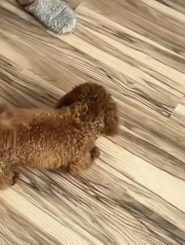 Ну наконец то порядочная девушка!