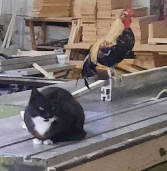 Работяги принес вам редкий кадр с нашей долбильни - нач...