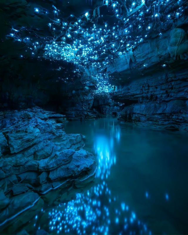 Единственные нормальные комары.