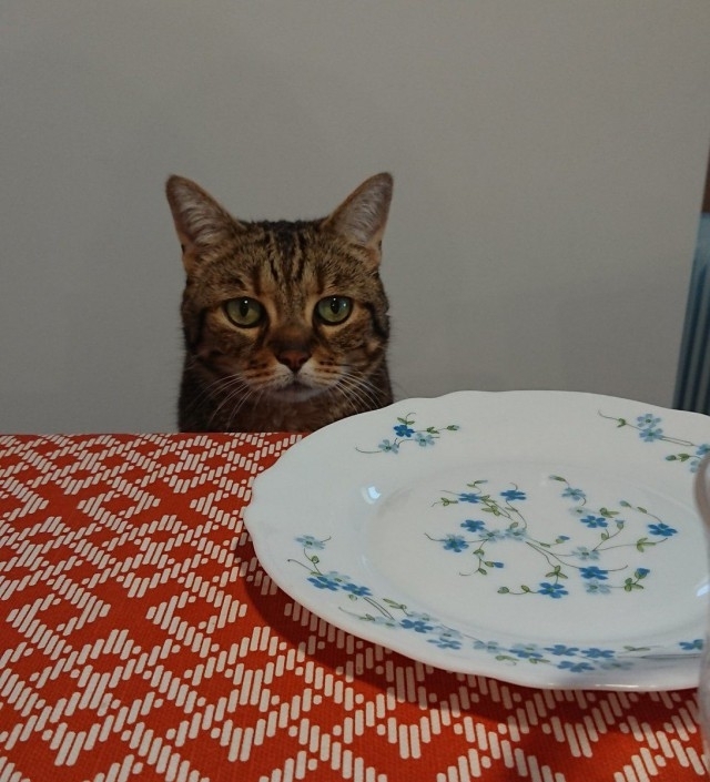 Когда хозяйка, накрыв на стол, зовёт: “Идите ужинать!” ...